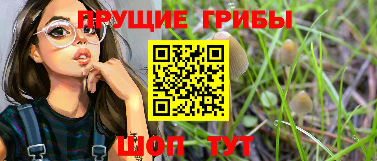 что такое наркотик  Вход с VPN  Владимир  Псилоцибиновые грибы MAGIC MUSHROOMS 