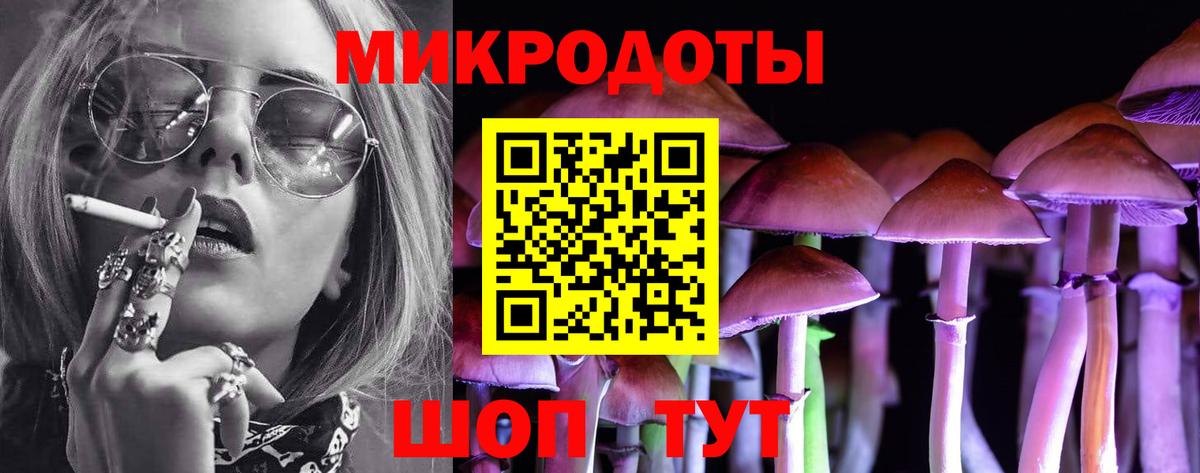 Псилоцибиновые грибы мицелий Владимир